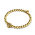 patte | Or Vermeil .925 | Bracelet imprimé chiot en diamants CZ